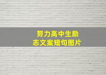 努力高中生励志文案短句图片