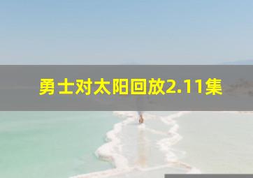 勇士对太阳回放2.11集