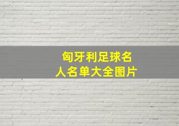 匈牙利足球名人名单大全图片