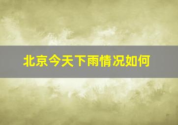 北京今天下雨情况如何