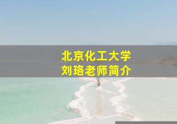 北京化工大学刘珞老师简介