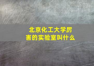 北京化工大学厉害的实验室叫什么