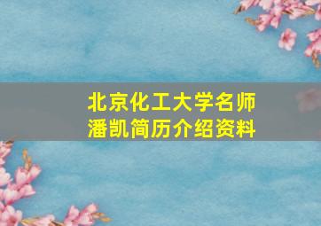 北京化工大学名师潘凯简历介绍资料