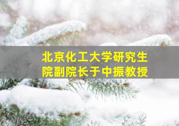 北京化工大学研究生院副院长于中振教授