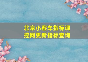 北京小客车指标调控网更新指标查询