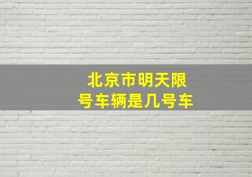 北京市明天限号车辆是几号车