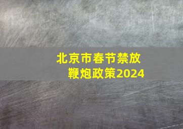 北京市春节禁放鞭炮政策2024