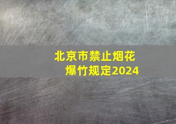 北京市禁止烟花爆竹规定2024