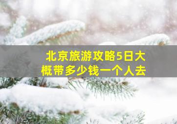 北京旅游攻略5日大概带多少钱一个人去