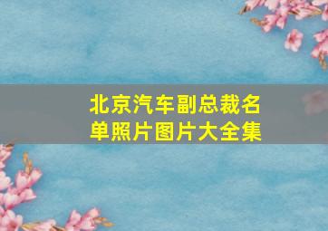 北京汽车副总裁名单照片图片大全集