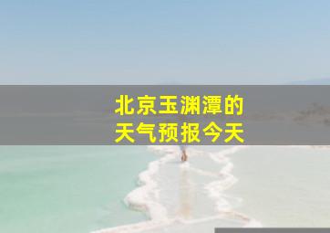 北京玉渊潭的天气预报今天