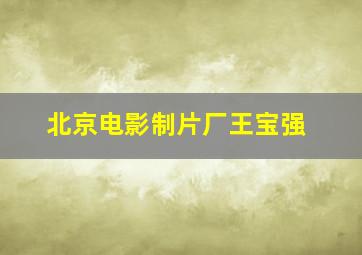 北京电影制片厂王宝强