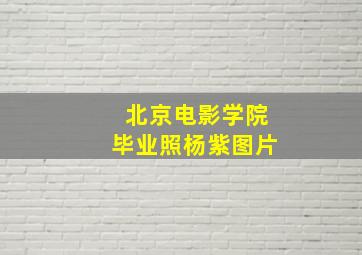 北京电影学院毕业照杨紫图片