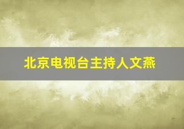 北京电视台主持人文燕