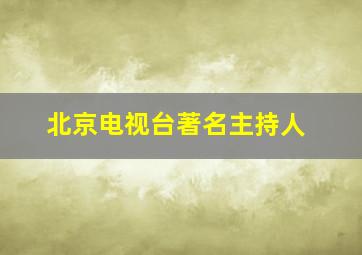 北京电视台著名主持人