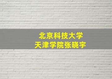 北京科技大学天津学院张晓宇