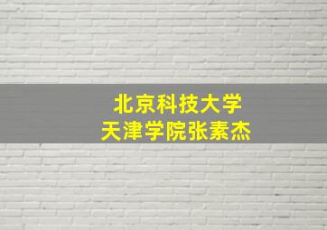 北京科技大学天津学院张素杰