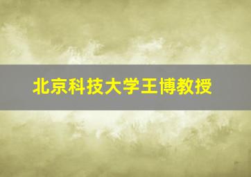 北京科技大学王博教授