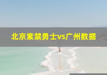 北京紫禁勇士vs广州数据