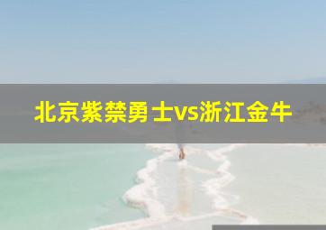 北京紫禁勇士vs浙江金牛