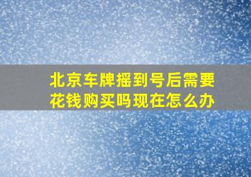 北京车牌摇到号后需要花钱购买吗现在怎么办