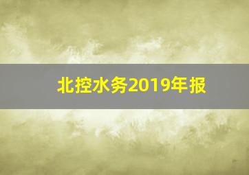 北控水务2019年报