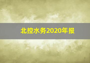 北控水务2020年报