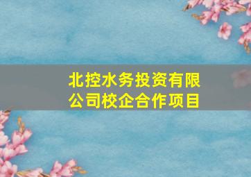 北控水务投资有限公司校企合作项目