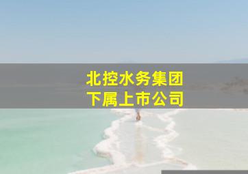 北控水务集团下属上市公司