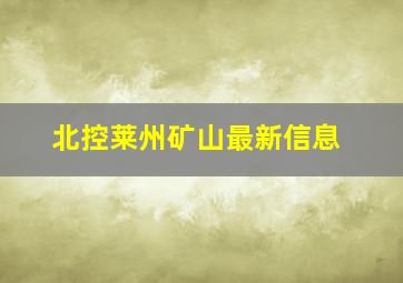 北控莱州矿山最新信息