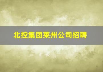 北控集团莱州公司招聘