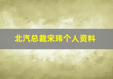 北汽总裁宋玮个人资料