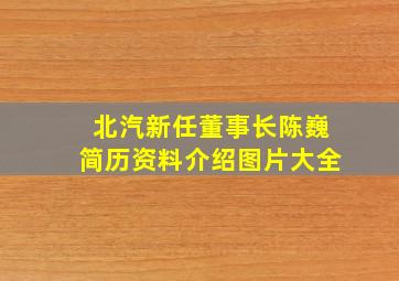 北汽新任董事长陈巍简历资料介绍图片大全