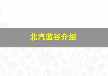 北汽蓝谷介绍