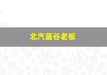 北汽蓝谷老板