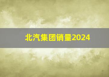 北汽集团销量2024