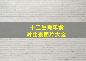 十二生肖年龄对比表图片大全