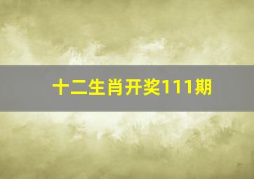 十二生肖开奖111期