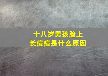 十八岁男孩脸上长痘痘是什么原因