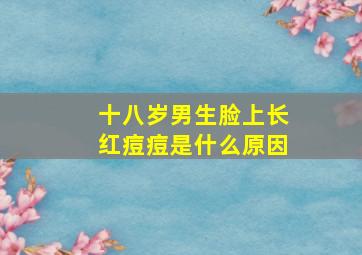 十八岁男生脸上长红痘痘是什么原因