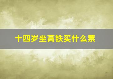 十四岁坐高铁买什么票