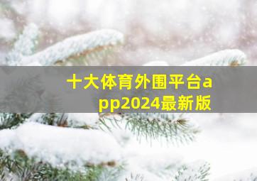 十大体育外围平台app2024最新版