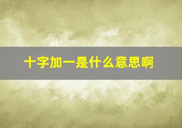 十字加一是什么意思啊