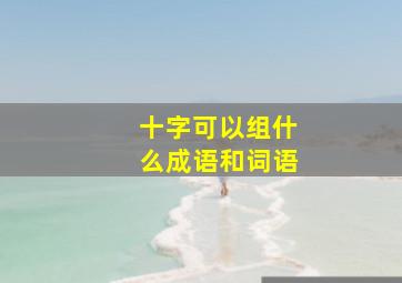 十字可以组什么成语和词语