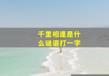 千里相逢是什么谜语打一字