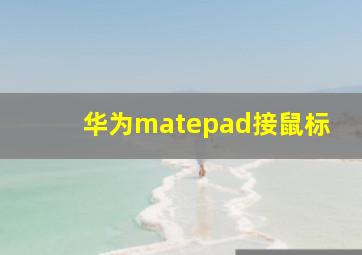 华为matepad接鼠标