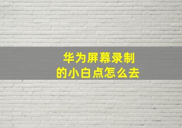 华为屏幕录制的小白点怎么去