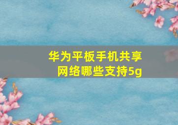 华为平板手机共享网络哪些支持5g