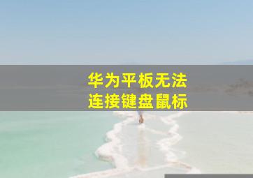 华为平板无法连接键盘鼠标