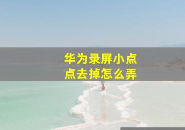 华为录屏小点点去掉怎么弄